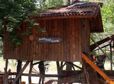 Üdülőpark Turkmen Tree Olympos