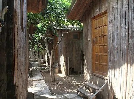 Üdülőpark Turkmen Tree
