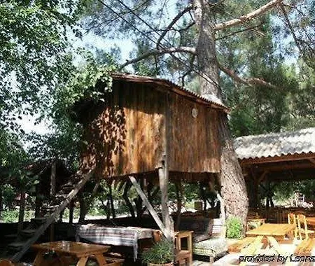 Üdülőpark Turkmen Tree 3*